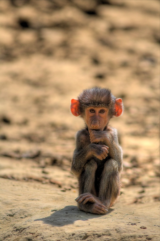 Daily Inspirations no. 369 c1d38 Daily Inspirations no. 369
