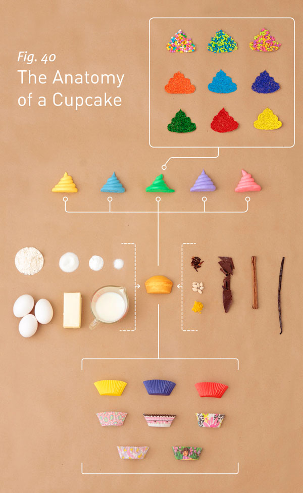 Anatomy of a Cupcake cupcakeAnatomy Anatomy of a Cupcake