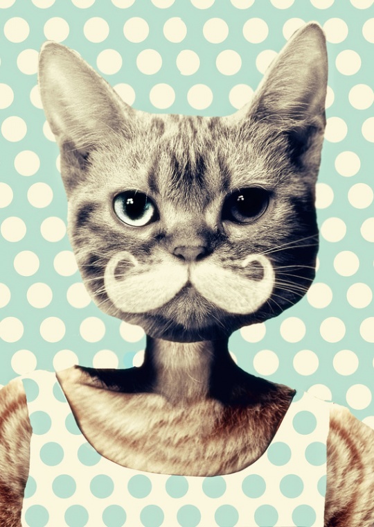 DAILY INSPIRATIONS FOR DYT #254 dyt1b3 DAILY INSPIRATIONS FOR DYT #254