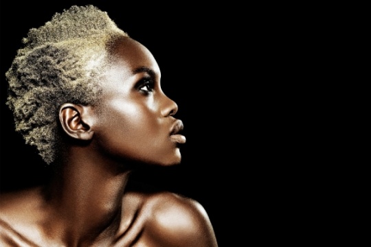 DAILY INSPIRATIONS FOR DYT #254 dyt1c3 DAILY INSPIRATIONS FOR DYT #254