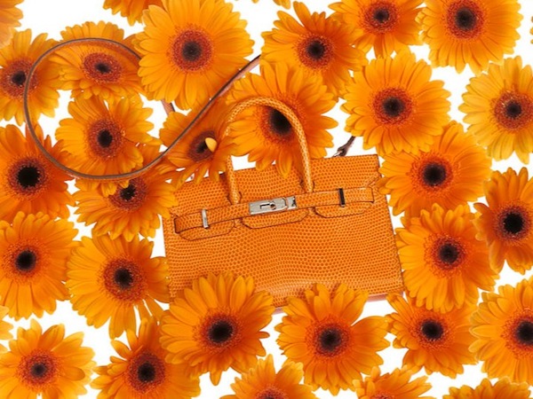 hermes tiny birkin kelly bag spring summer 2012 collection orange lizard Tiny Bags
