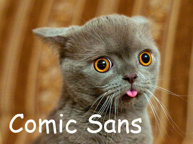 kat lettertype2 pic on Design You Trust kat lettertype2 Cats as Fonts