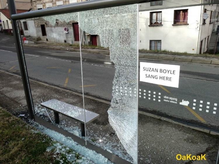 o6 750x562 New Street Art by OaKoAk !  