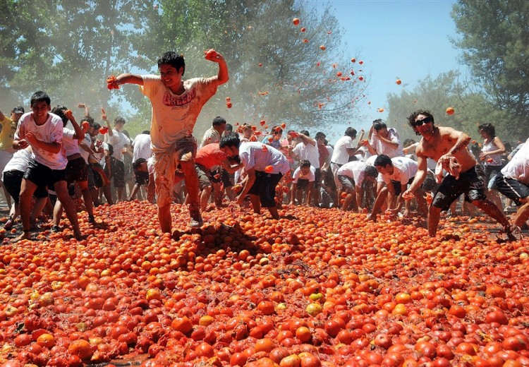 Tomato Design