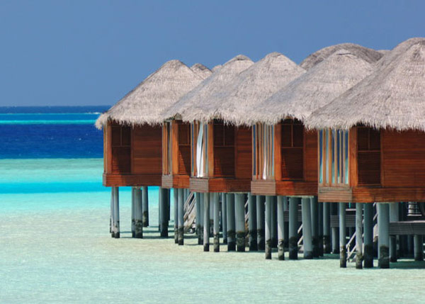 resort maldives 61 Tropical Anantara Dhigu Resort & Spa Maldives