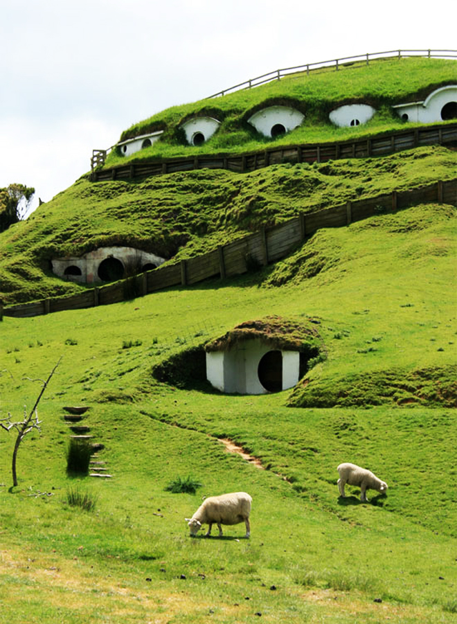 sheep grass designrulz 11 pic on Design You Trust sheep grass designrulz 11 Abandoned Hobbiton from “Lord Of The Rings” taken over by sheep
