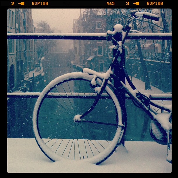 sn2 pic on Design You Trust sn2 Holland in the Snow