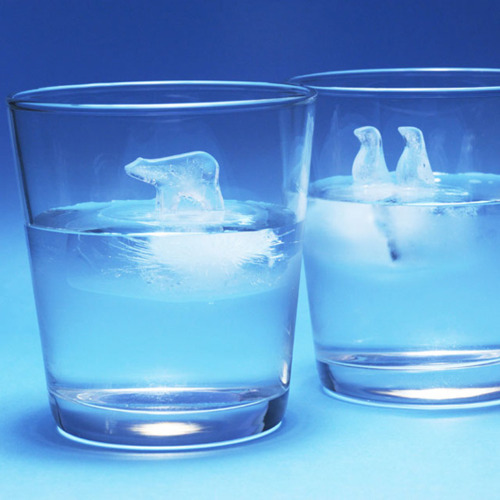 tumblr lzawpr7FD61qiqf01o1 500 Global Warming Ice Cubes