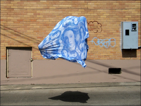 w9 Creative photography by William Hundley !