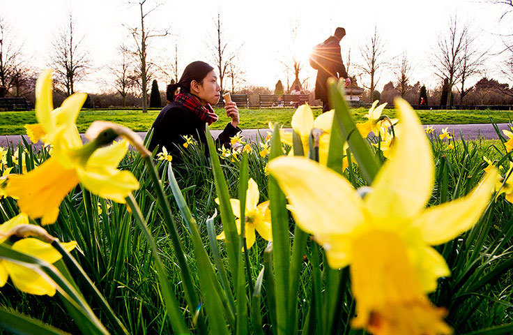 Signs of Spring Around the World 1144 Signs of Spring Around the World