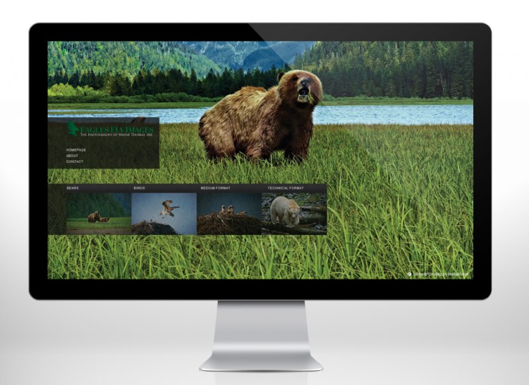 1159 750x546 pic on Design You Trust 1159 750x546 Brand New Website Design for EaglesFlyImages @MediaNovak