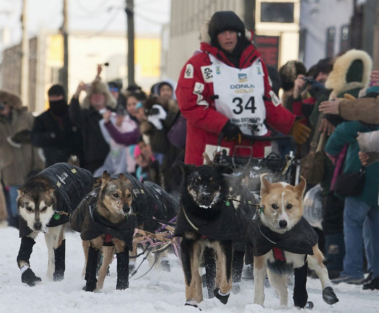 Iditarod 2012: Dallas Seavey Becomes Youngest Winner In History 196 Iditarod 2012: Dallas Seavey Becomes Youngest Winner In History