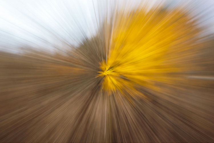 23 1 Photography by Rick Giles