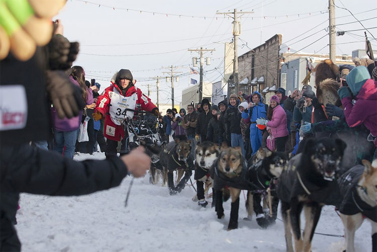 Iditarod 2012: Dallas Seavey Becomes Youngest Winner In History 248 Iditarod 2012: Dallas Seavey Becomes Youngest Winner In History