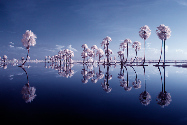 Photography by hoangnamphoto 461855 Photography by hoangnamphoto