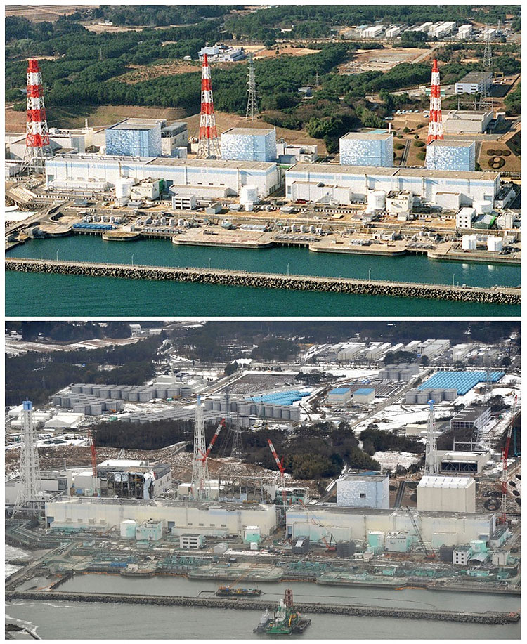 Japan, One Year After the March 11 Tsunami: A Revisit 613 Japan, One Year After the March 11 Tsunami: A Revisit