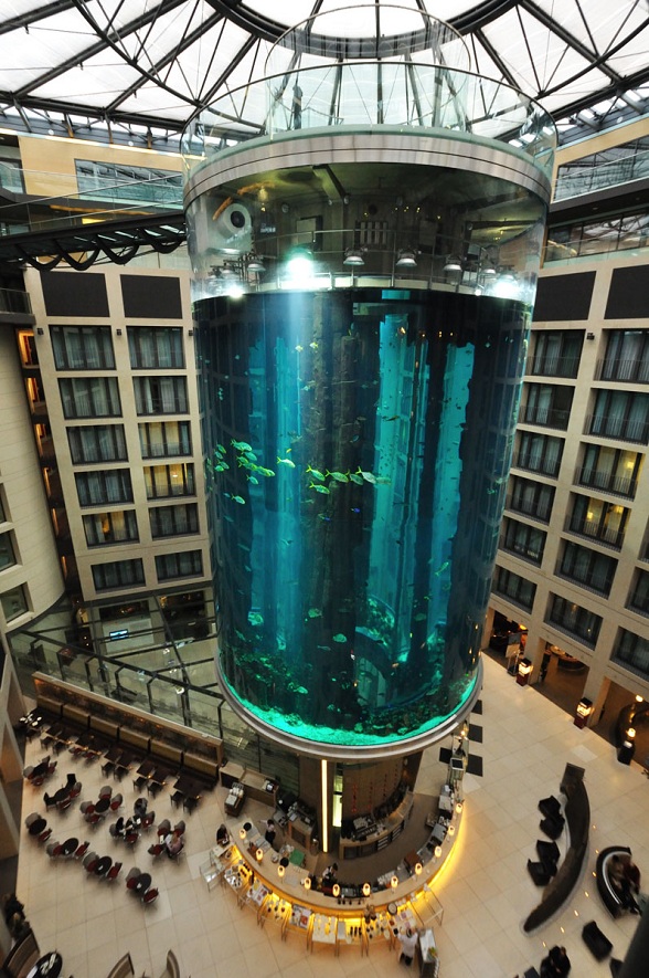 AquaDom Worlds Largest Cylindrical Aquarium Aquadom 2 AquaDom Worlds Largest Cylindrical Aquarium