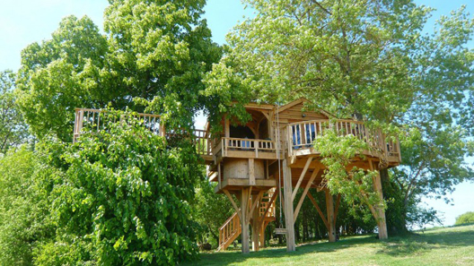 Tree House Rental