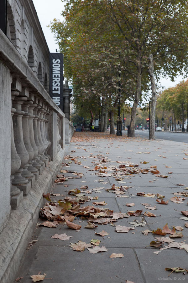 Dead Leaves 2 blog Little People on the streets!
