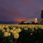 Landscape Photography by Dene Miles Dene Miles8 140x140 Landscape Photography by Dene Miles