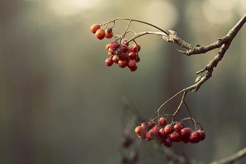Photography by Mathijs Delva Mathijs Delva2 Photography by Mathijs Delva