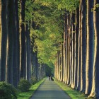 Photography by Mathijs Delva Mathijs Delva3 140x140 Photography by Mathijs Delva