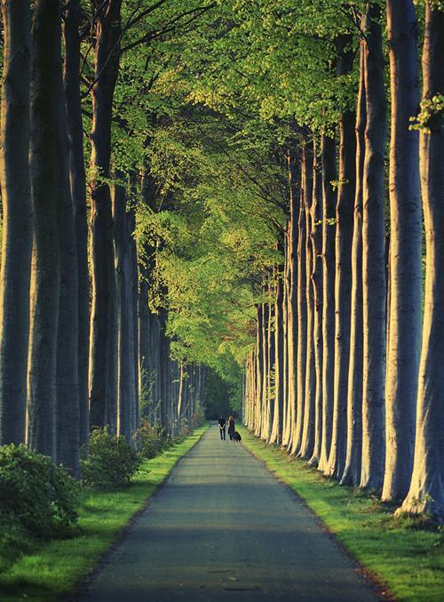 Photography by Mathijs Delva Mathijs Delva3 Photography by Mathijs Delva