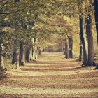 Photography by Mathijs Delva Mathijs Delva4 140x140 Photography by Mathijs Delva