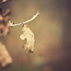 Photography by Mathijs Delva Mathijs Delva5 140x140 Photography by Mathijs Delva