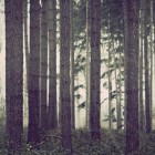 Photography by Mathijs Delva Mathijs Delva6 140x140 Photography by Mathijs Delva