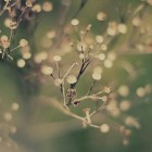 Photography by Mathijs Delva Mathijs Delva7 140x140 Photography by Mathijs Delva