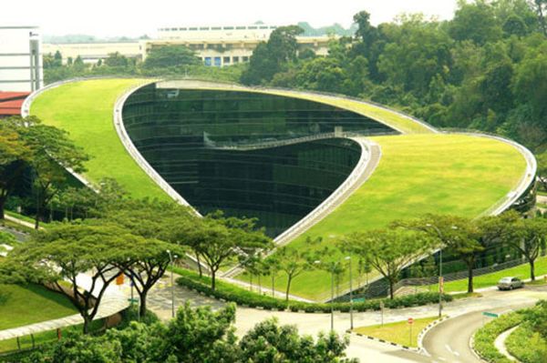 Amazing Green Roof scape Nanyang green roof 2 Amazing Green Roof scape