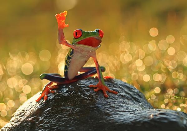 Friday Photography Inspiration #51 | Machoarts Photography hello Friday Photography Inspiration #51 | Machoarts