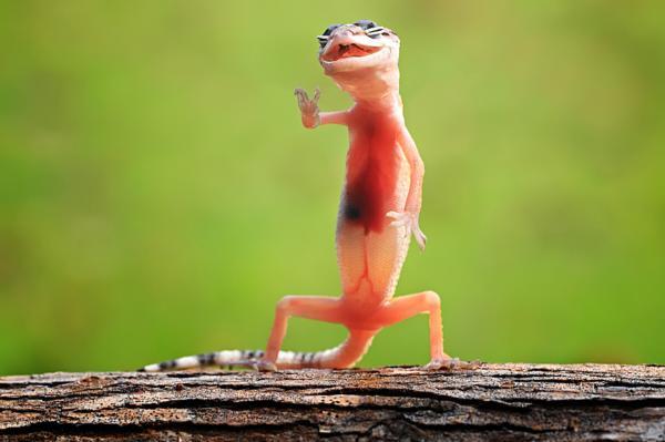Photography laughing Friday Photography Inspiration #52 | Machoarts