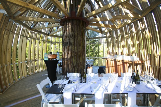 Yellow Treehouse Restaurant Yellow Treehouse 2 Yellow Treehouse Restaurant