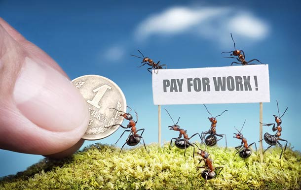 Ant Tales – Amazing life of Ants in macro photography ant tales macrophotographie 15 Ant Tales – Amazing life of Ants in macro photography