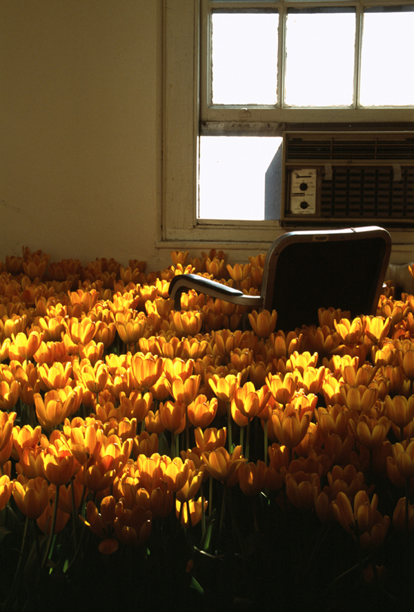 bloom Anna Schuleit mental health Bloom Flower Installation 