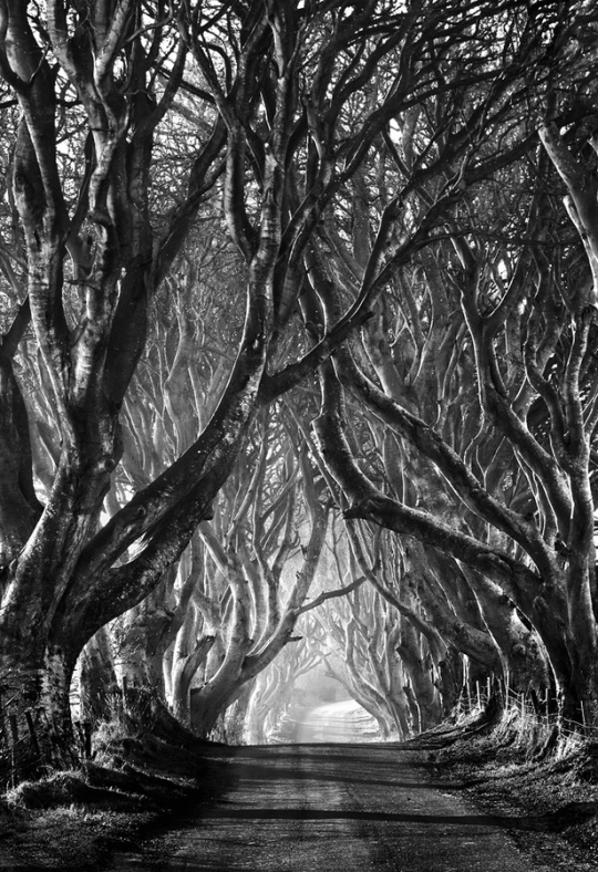Quality B&W Photography c1a6 Quality B&W Photography