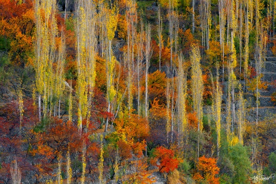 Daily Inspirations no. 374 c1c4 Daily Inspirations no. 374