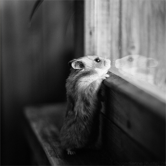 Quality B&W Photography c1c6 Quality B&W Photography