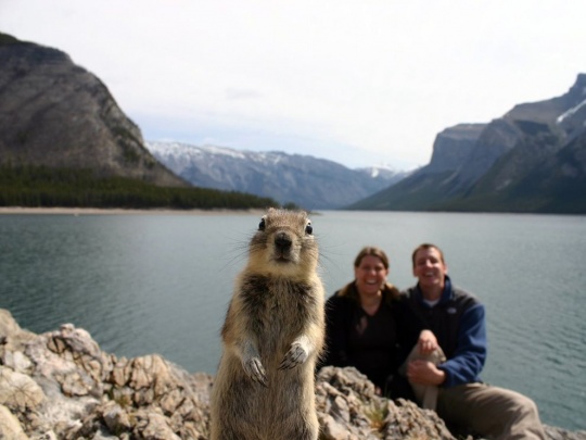 c1d18 Amazing Animal Photography