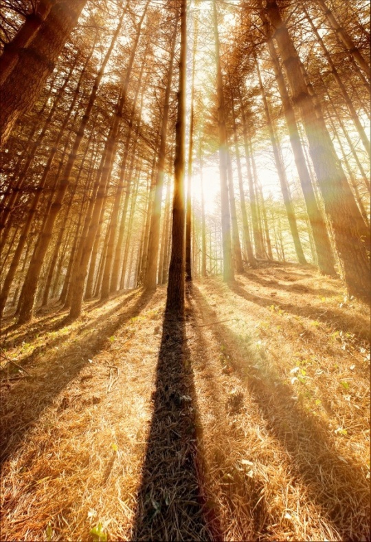 Daily Inspirations no. 383 c1d25 Daily Inspirations no. 383