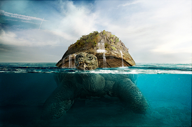 Photoshop Tutorial: Underwater Turtle download221 Photoshop Tutorial: Underwater Turtle