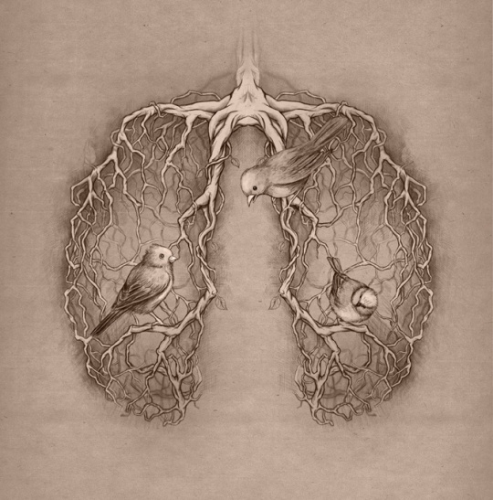 DAILY INSPIRATIONS FOR DYT #262 dyt1a5 DAILY INSPIRATIONS FOR DYT #262
