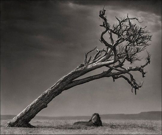 DAILY INSPIRATIONS FOR DYT #265 dyt1a8 DAILY INSPIRATIONS FOR DYT #265