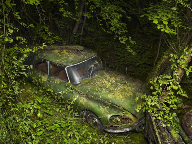 Abandoned cars in nature by Peter Lippmann i1a122 Abandoned cars in nature by Peter Lippmann
