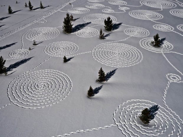 Snow Art Made With Snowshoes i1a91 Snow Art Made With Snowshoes