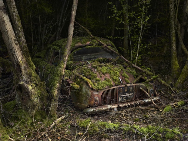 Abandoned cars in nature by Peter Lippmann i1b121 Abandoned cars in nature by Peter Lippmann
