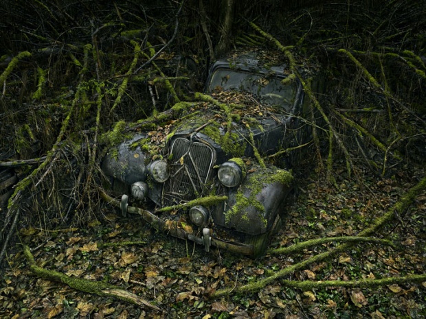 Abandoned cars in nature by Peter Lippmann i1c122 Abandoned cars in nature by Peter Lippmann