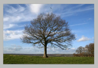 10 Best Adobe Photoshop CS5 Tutorial Videos image07 10 Best Adobe Photoshop CS5 Tutorial Videos